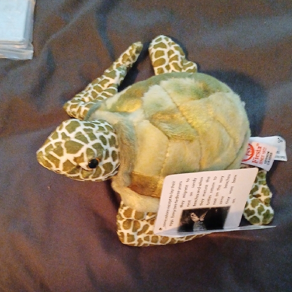 Plush Turtle Toy for Small Pets - Picture 7 of 7